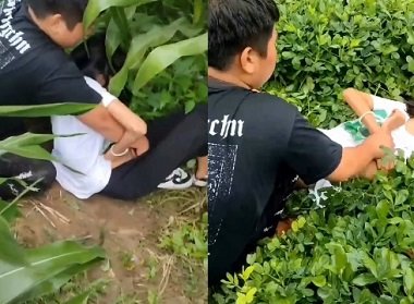 Dụ dỗ và hãm hiếp nữ sinh cô đơn ngoài cánh đồng